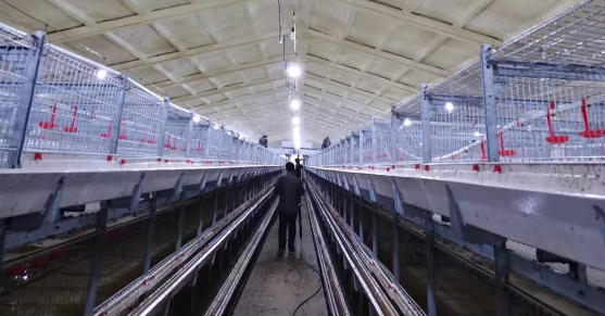 養(yǎng)鴨場(chǎng)老板：熱泵供暖溫度高，費(fèi)用比燒煤還省！