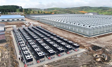 助力綠色農業(yè)發(fā)展！貴州3萬平蔬菜大棚建設碧淶空氣能采暖工程